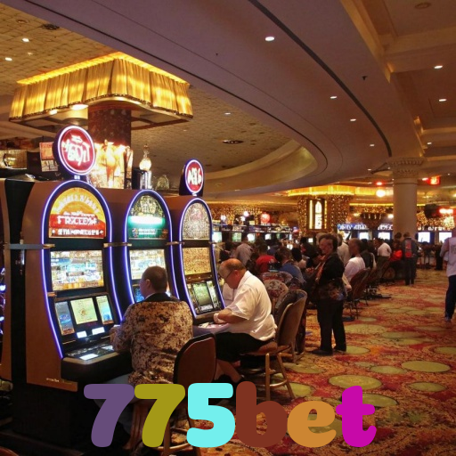 Cassino com suporte premium na plataforma oficial